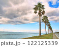 海に伸びるヤシの木 122125339