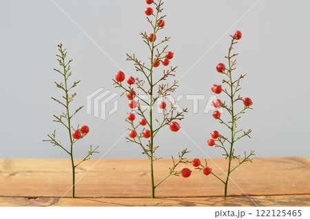 赤いナンテンの実  122125465