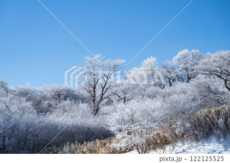 霧氷と青空 122125525