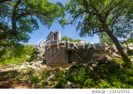 Ruins of an ancient gymnasium in the city of Termessos 122125552