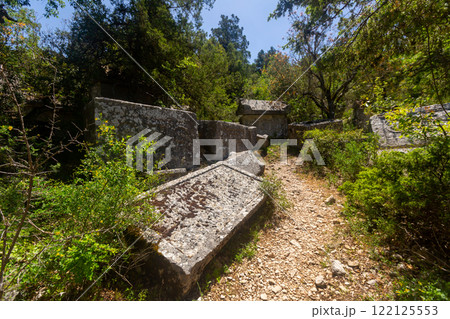 Ruins of necropolis in Termessos, Turkey 122125553