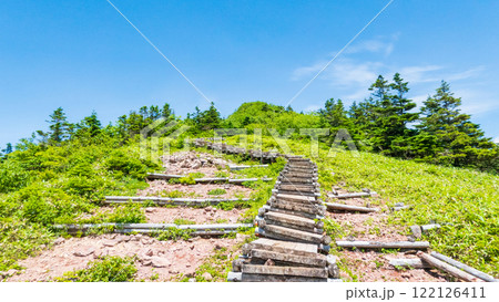 夏の四阿山・根子岳登山（山頂手前の木段：中尾根・四阿高原・鳥居峠コース） 122126411