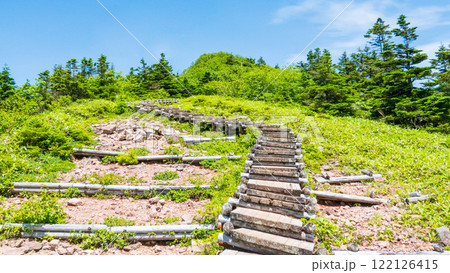 夏の四阿山・根子岳登山(山頂手前の木段:中尾根・四阿高原・鳥居峠コース) 夏の四阿山・根子岳登山(山頂手前の木段:中尾根・四阿高原・鳥居峠コース) 122126415
