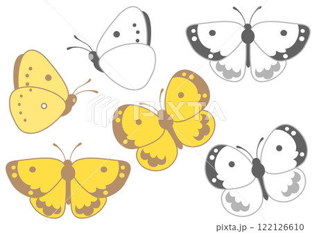 モンキチョウとモンシロチョウ 122126610