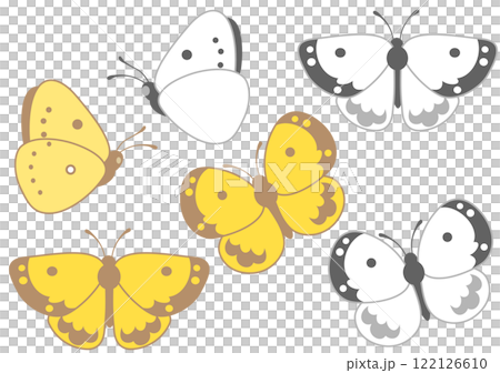 モンキチョウとモンシロチョウ 122126610