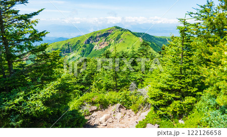 夏の四阿山・根子岳登山(四阿山~根子岳) 夏の四阿山・根子岳登山(四阿山~根子岳) 122126658