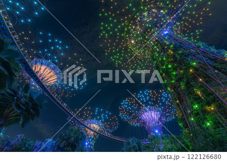 Colorful Tree Structures at Garden by the bay Illuminated at Night 122126680