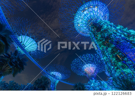 Stunning Night View of Colorful Luminescent Trees at Garden by the bay 122126683