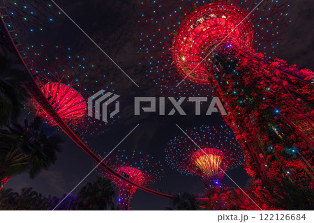 Vibrant Lighted Gardens at Night of Garden by the bay 122126684