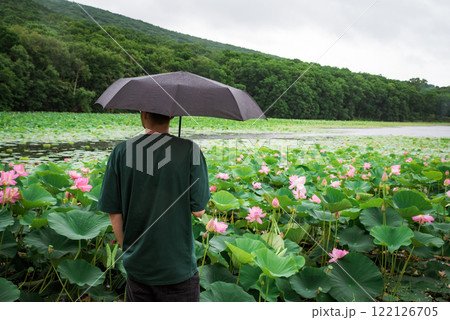 A man with an umbrella stands by a blooming lotus pond on a rainy day, surrounded by lush greenery and pink flowers. Peaceful nature scene in overcast weather A man with an umbrella stands by a blooming lotus pond on a rainy day, surrounded by lush greenery and pink flowers. Peaceful nature scene in overcast weather 122126705