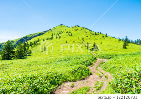 夏の四阿山・根子岳登山（四阿山～根子岳） 122126733