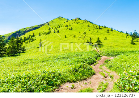 夏の四阿山・根子岳登山（四阿山～根子岳） 122126737
