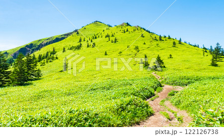 夏の四阿山・根子岳登山（四阿山～根子岳） 122126738