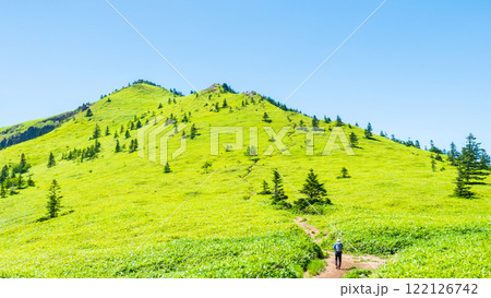 夏の四阿山・根子岳登山（四阿山～根子岳） 122126742