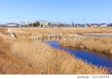 埼玉県吉川市1号調節池2025年1月 埼玉県吉川市1号調節池2025年1月 122126743