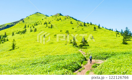 夏の四阿山・根子岳登山（四阿山～根子岳） 122126766