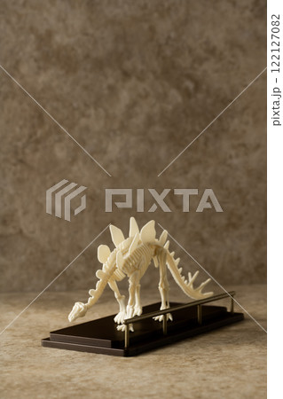 博物館と恐竜化石 122127082