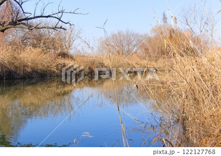 千葉県松戸市ふれあい松戸川2025年1月 千葉県松戸市ふれあい松戸川2025年1月 122127768