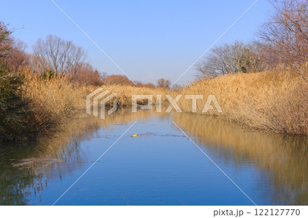 千葉県松戸市ふれあい松戸川2025年1月 千葉県松戸市ふれあい松戸川2025年1月 122127770