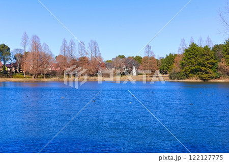 埼玉県松伏町松伏総合公園周辺2025年1月 122127775