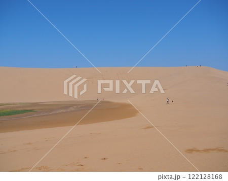 砂丘の美しい風景 砂丘の美しい風景 122128168