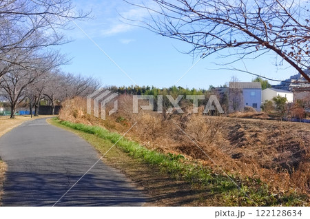 千葉県柏市大堀川沿い2025年1月 122128634