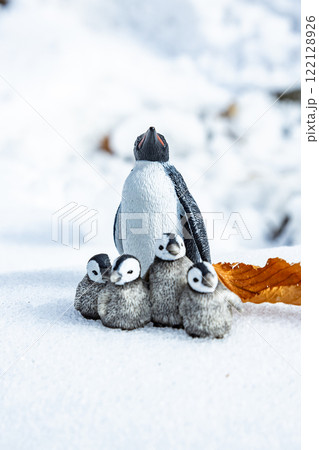 ペンギン ペンギン 122128926