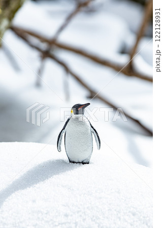 ペンギン ペンギン 122128931