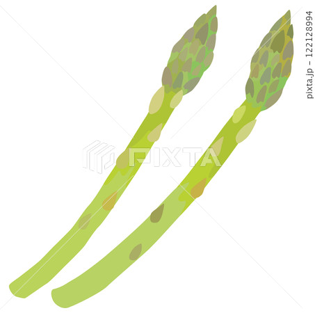 アスパラガス 野菜 ベクター素材 122128994