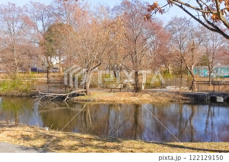 東京都葛飾区水元公園周辺2025年1月 東京都葛飾区水元公園周辺2025年1月 122129150