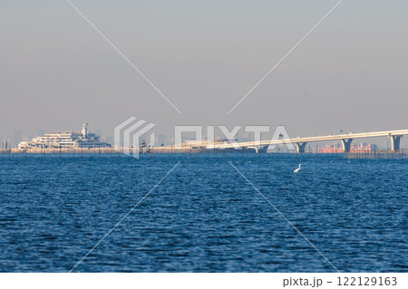 盤洲干潟から見た海ほたる 浅瀬ではダイサギが羽を休める 盤洲干潟から見た海ほたる 浅瀬ではダイサギが羽を休める 122129163