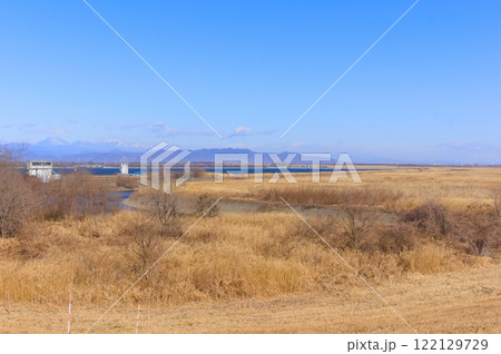 渡良瀬遊水地の風景2025年1月 渡良瀬遊水地の風景2025年1月 122129729