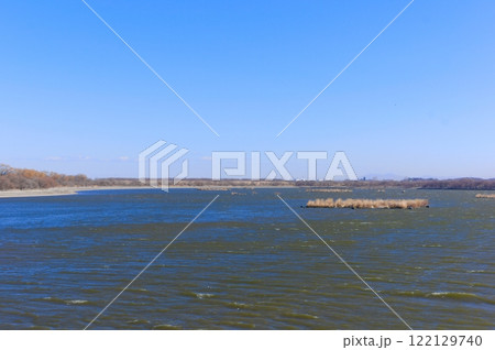 渡良瀬遊水地の風景2025年1月 122129740