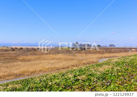 千葉県野田市関宿城周辺2025年1月 千葉県野田市関宿城周辺2025年1月 122129937