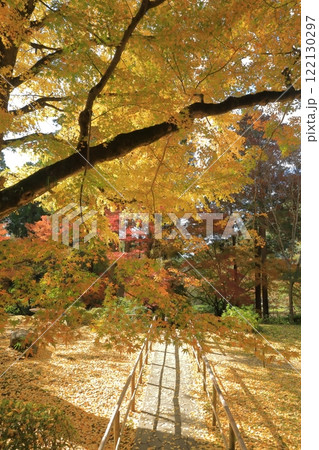 美しい紅葉に覆われた清水寺本坊庭園の遊歩道の風景 美しい紅葉に覆われた清水寺本坊庭園の遊歩道の風景 122130297