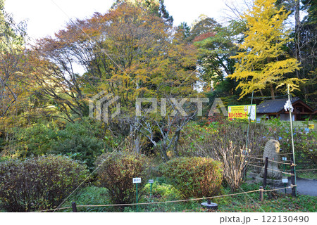 鷲子(とりのこ)山上神社　＃16 122130490