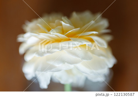Closeup of Yellow beautiful blooming rose in glass vase on wooden table. 122130587