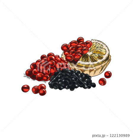 Engraved watercolor illustration of red and black caviar with lemon in tartlets. Engraved watercolor illustration of red and black caviar with lemon in tartlets. 122130989