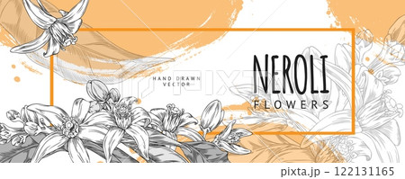 Vector horizontal poster with neroli flowers in an orange frame made in the sketch style Vector horizontal poster with neroli flowers in an orange frame made in the sketch style 122131165