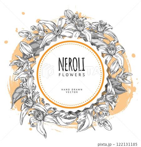 Vector round frame depicting neroli flowers in the style of a black and white sketch 122131185