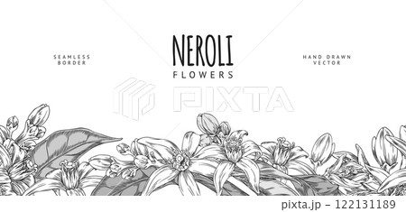 Banner illustration with seamless lower border made of neroli flowers and leaves sketch. 122131189