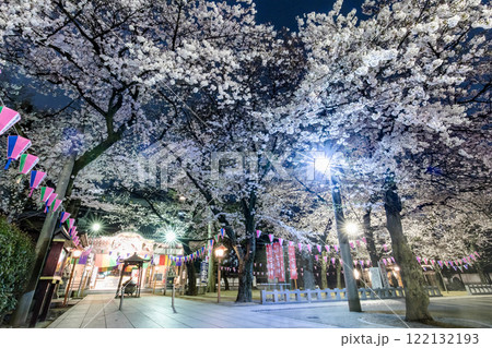 川越の夜桜 川越の夜桜 122132193