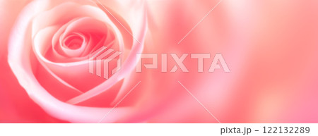 Horizontal blurry banner with rose of pink color. Blurred background. Copy space for text. Mock up template. Can be used for wallpaper, wedding card, web page backdrop Horizontal blurry banner with rose of pink color. Blurred background. Copy space for text. Mock up template. Can be used for wallpaper, wedding card, web page backdrop 122132289