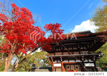 【京都府】松尾大社の楼門と紅葉 【京都府】松尾大社の楼門と紅葉 122132471