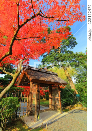 【京都府】晴天の桂離宮の紅葉（御幸門） 122132479