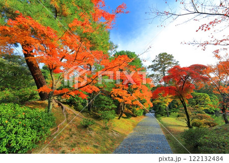 【京都府】晴天の桂離宮の紅葉 122132484