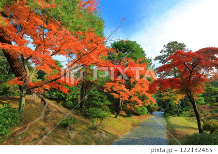 【京都府】晴天の桂離宮の紅葉 122132485