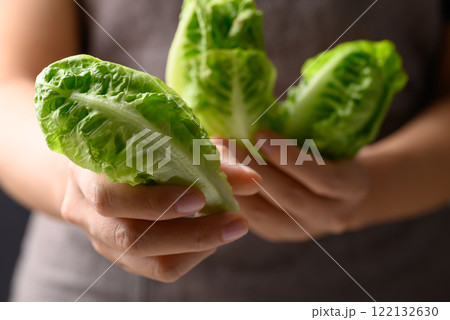 Cos lettuce romaine holding by woman hand, Fresh vegetable Cos lettuce romaine holding by woman hand, Fresh vegetable 122132630