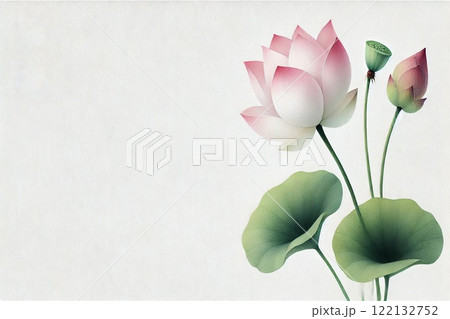 蓮の花 蓮の花 122132752