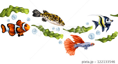 Tropical fish with green algae, angelfish, clownfish. Underwater ocean world, exotic travel, wildlife. Seamless border, isolated illustration, hand-drawn on white background. Exploring marine world 122133546